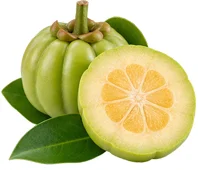 Garcinia cambogia extract — Liporeduct ingredient