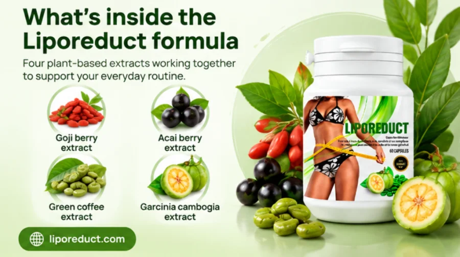 Liporeduct — four-extract capsule formula